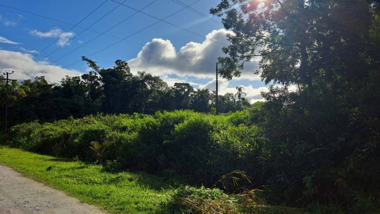 Imagem Chácara à Venda, 8 m² em Graraguaçu - Paranaguá