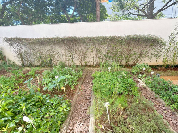 Imagem Apartamento com 3 Quartos à Venda, 123 m² em Vila Congonhas - São Paulo Imagem Apartamento com 3 Quartos à Venda, 123 m² em Vila Congonhas - São Paulo