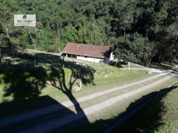Imagem Fazenda à Venda, 198.000 m² em Vila Darci Penteado - São Roque Imagem Fazenda à Venda, 198.000 m² em Vila Darci Penteado - São Roque