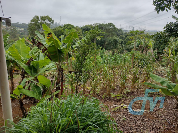 Imagem Imóvel com 2 Quartos à Venda, 2.260 m² em Parque Das Varinhas - Mogi Das Cruzes Imagem Imóvel com 2 Quartos à Venda, 2.260 m² em Parque Das Varinhas - Mogi Das Cruzes