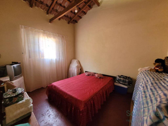 Imagem Chácara com 4 Quartos à Venda, 90 m² em Recanto Bosque - Socorro Imagem Chácara com 4 Quartos à Venda, 90 m² em Recanto Bosque - Socorro
