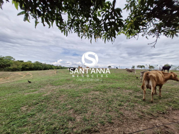 Imagem Chácara com 2 Quartos à Venda, 96 m² em Rural - Macedônia Imagem Chácara com 2 Quartos à Venda, 96 m² em Rural - Macedônia