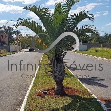 Imagem Casa de Condomínio com 3 Quartos à Venda, em Condominio Estancia Cipo - Jaboticatubas Imagem Casa de Condomínio com 3 Quartos à Venda, em Condominio Estancia Cipo - Jaboticatubas