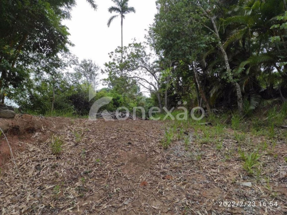 Imagem Chácara com 3 Quartos à Venda, 200 m² em Macaco - Paraibuna Imagem Chácara com 3 Quartos à Venda, 200 m² em Macaco - Paraibuna