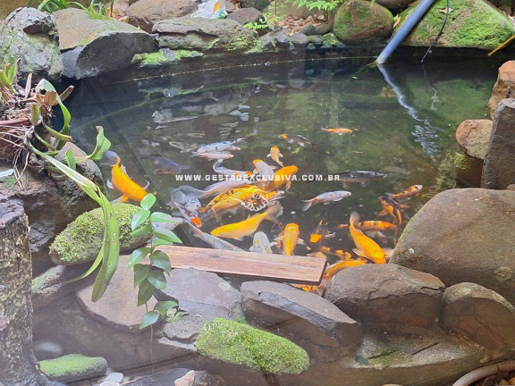Imagem Chácara com 4 Quartos à Venda, 5.000 m² em Condomínio Itaembu - Itatiba