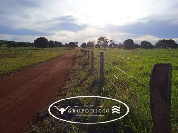 Imagem Fazenda à Venda, em Zona Rural - Montes Claros De Goiás Imagem Fazenda à Venda, em Zona Rural - Montes Claros De Goiás