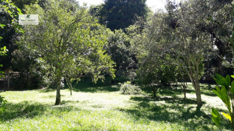 Imagem Chácara à Venda, 2.000 m² em Alto Da Serra - São Roque Imagem Chácara à Venda, 2.000 m² em Alto Da Serra - São Roque