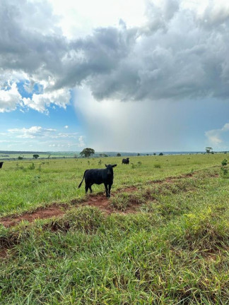 Fazenda à Venda, 5.793 m² em Rural - Nova Andradina