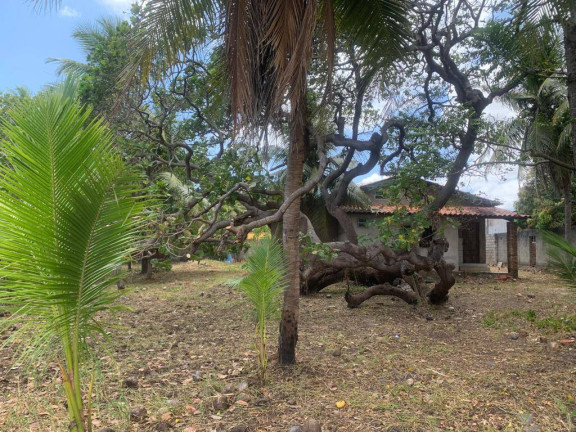 Imagem Casa com 3 Quartos à Venda, 270 m² em Olho Dagua - Eusébio