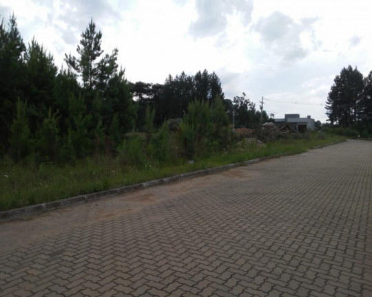 Imagem Imóvel à Venda, 360 m² em Vila Germânia - Nova Petrópolis Imagem Imóvel à Venda, 360 m² em Vila Germânia - Nova Petrópolis