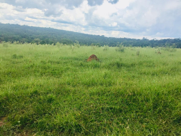 Imagem Chácara à Venda, 9 m² em Area Rural De Avaré - Avaré Imagem Chácara à Venda, 9 m² em Area Rural De Avaré - Avaré