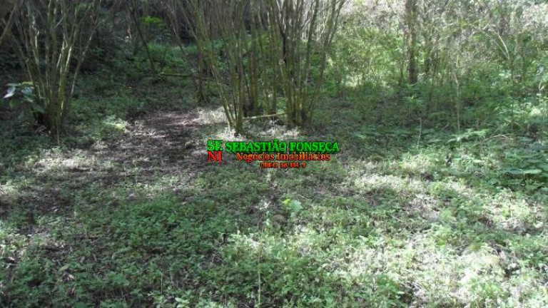 Imagem Chácara à Venda, 72.600 m² em São Francisco Xavier - São José Dos Campos Imagem Chácara à Venda, 72.600 m² em São Francisco Xavier - São José Dos Campos