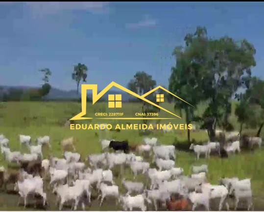 Imagem Imóvel à Venda,  em Barreira Da Onça - Arraias