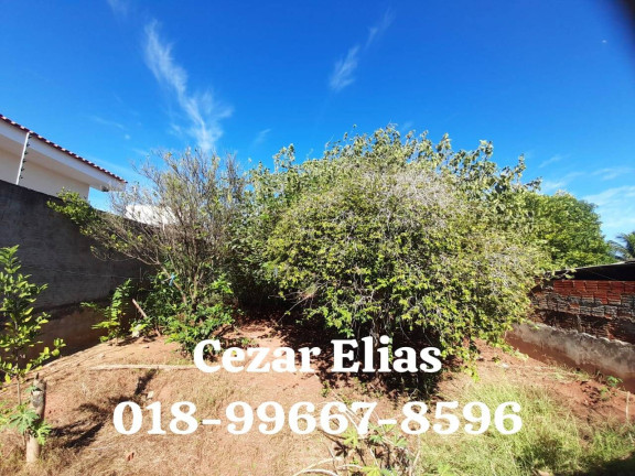 Imagem Casa com 2 Quartos à Venda, 400 m² em Centro - Andradina Imagem Casa com 2 Quartos à Venda, 400 m² em Centro - Andradina