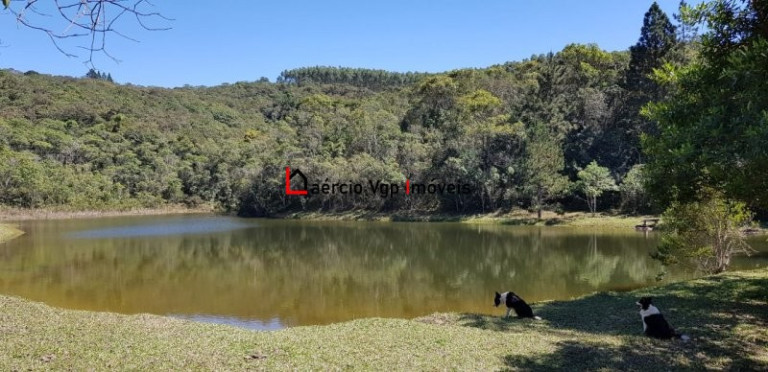 Imagem Imóvel com 2 Quartos à Venda, 133.100 m² em Carmo Messias - Ibiúna Imagem Imóvel com 2 Quartos à Venda, 133.100 m² em Carmo Messias - Ibiúna