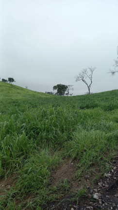 Imagem Fazenda à Venda, 2.114 m² em Jangada Imagem Fazenda à Venda, 2.114 m² em Jangada
