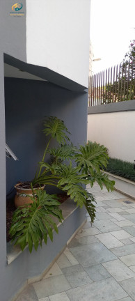 Imagem Apartamento com 2 Quartos à Venda, 54 m² em Vila Guarani (z Sul) - São Paulo