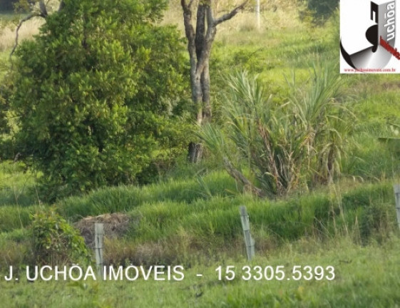 Imagem Imóvel com 3 Quartos à Venda, 190 m² em Perobas - Pereiras Imagem Imóvel com 3 Quartos à Venda, 190 m² em Perobas - Pereiras