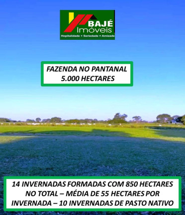 Imagem Fazenda à Venda, 5.000 m² em Goiânia Imagem Fazenda à Venda, 5.000 m² em Goiânia