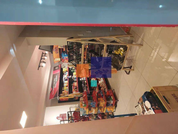 Imagem Apartamento com 3 Quartos à Venda, 90 m² em Vila Graciosa - São Paulo