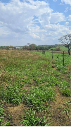 Imagem Fazenda à Venda, 1 m² em Girassol - Cocalzinho De Goiás Imagem Fazenda à Venda, 1 m² em Girassol - Cocalzinho De Goiás