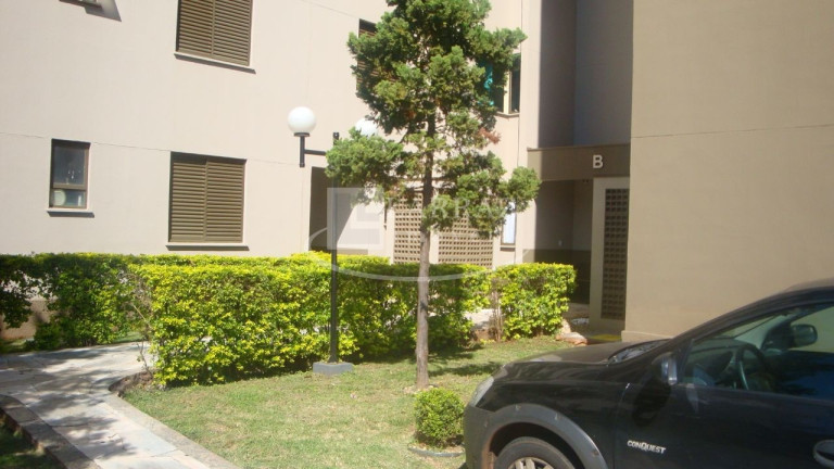 Imagem Imóvel com 3 Quartos à Venda, 65 m² em Iguatemi - Ribeirão Preto Imagem Imóvel com 3 Quartos à Venda, 65 m² em Iguatemi - Ribeirão Preto
