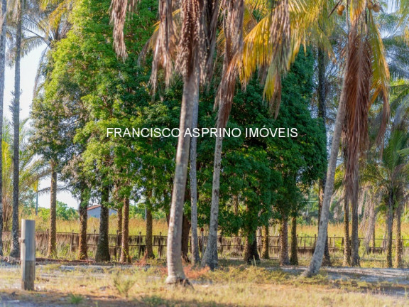 Imagem Sobrado com 3 Quartos à Venda, em Ilha De Contrato - Ilha De Contrato Imagem Sobrado com 3 Quartos à Venda, em Ilha De Contrato - Ilha De Contrato