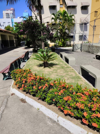 Imagem Apartamento com 2 Quartos à Venda, 60 m² em Praia Da Costa - Vila Velha
