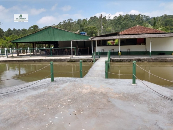 Chácara à Venda, 2.800 m² em Mailasqui - São Roque