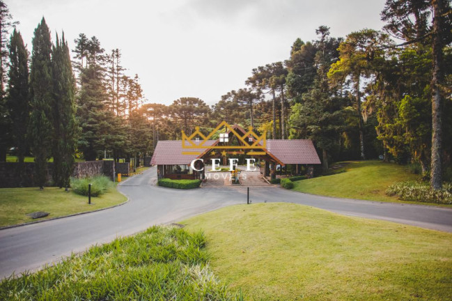 Imagem Casa com 4 Quartos à Venda, 1.096 m² em Centro - Gramado