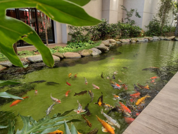 Imagem Imóvel com 2 Quartos à Venda, 50 m² em Brás - São Paulo Imagem Imóvel com 2 Quartos à Venda, 50 m² em Brás - São Paulo
