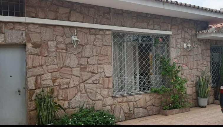 Imagem Imóvel com 4 Quartos à Venda, 160 m² em Vila Itapura - Campinas Imagem Imóvel com 4 Quartos à Venda, 160 m² em Vila Itapura - Campinas