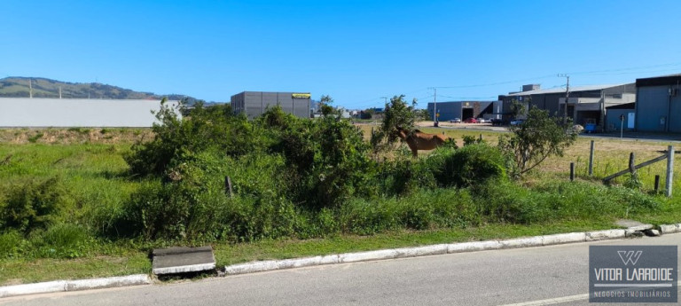 Imagem Imóvel à Venda, 2.112 m² em Centro - Tubarão