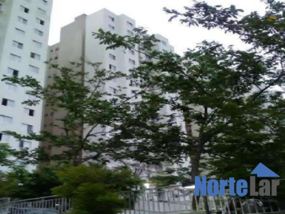 Imagem Apartamento com 2 Quartos à Venda, 43 m² em Jaraguá - São Paulo Imagem Apartamento com 2 Quartos à Venda, 43 m² em Jaraguá - São Paulo