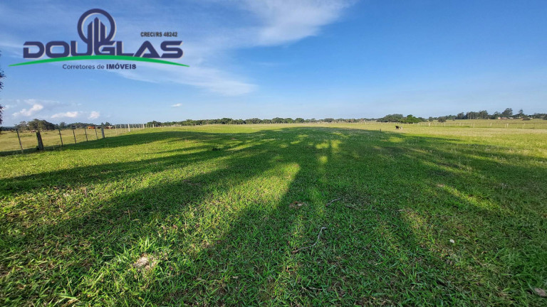 Imagem Chácara com 3 Quartos à Venda, 20.000 m² em águas Claras - Viamão