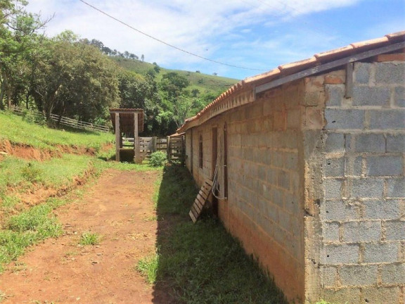 Imagem Imóvel com 3 Quartos à Venda, 448.000 m² em Roseta - Cambuí