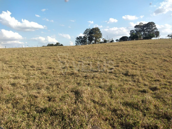 Imagem Imóvel à Venda, 242.000 m² em Santa Cruz Dos Matos - Itapetininga Imagem Imóvel à Venda, 242.000 m² em Santa Cruz Dos Matos - Itapetininga