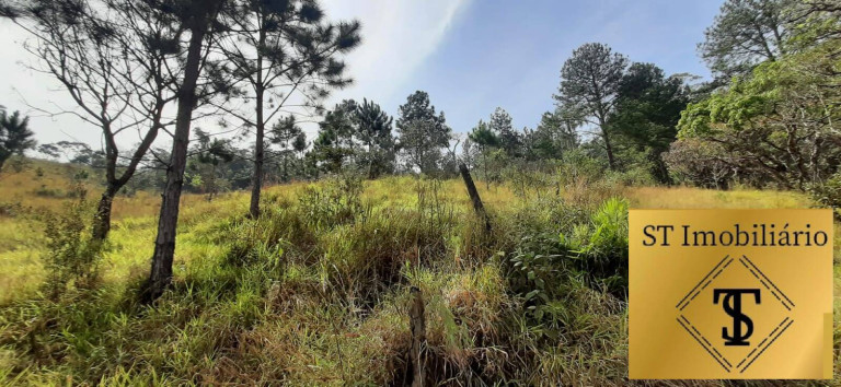 Imagem Chácara com 3 Quartos à Venda, 72.000 m² em Estância Santa Maria Do Portão - Atibaia