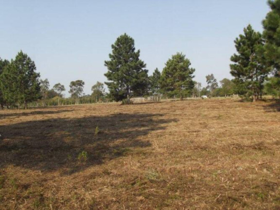 Imagem Terreno à Venda, 80.000 m² em águas Claras - Viamão