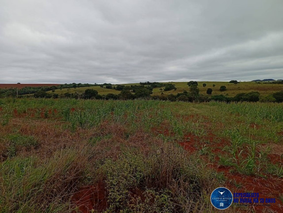 Imagem Fazenda à Venda, 33 m² em Zona Rural - Caiapônia Imagem Fazenda à Venda, 33 m² em Zona Rural - Caiapônia