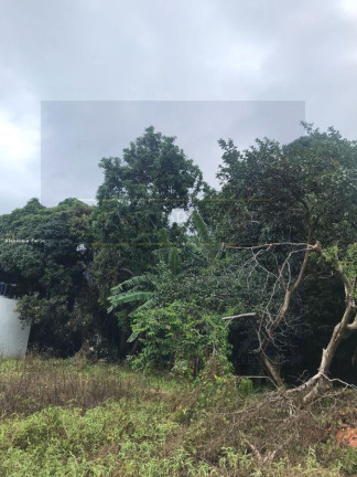 Terreno à Venda, 1.758 m² em São Francisco Da Praia - São Sebastião