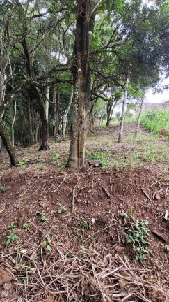Imagem Terreno à Venda, 1.000 m² em Alpes De Piedade - Piedade Imagem Terreno à Venda, 1.000 m² em Alpes De Piedade - Piedade