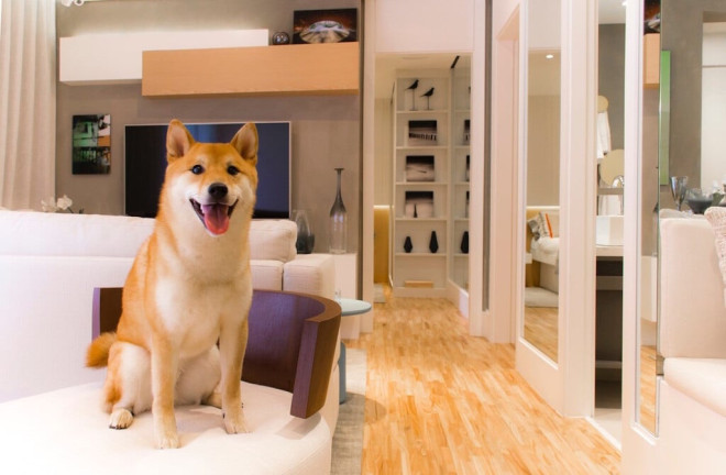 Imagem Apartamento com 3 Quartos à Venda, 65 m² em Vila Mascote - São Paulo Imagem Apartamento com 3 Quartos à Venda, 65 m² em Vila Mascote - São Paulo