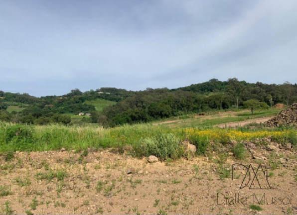 Imagem Terreno à Venda, 330 m² em Nossa Senhora Das Graças - Caxias Do Sul