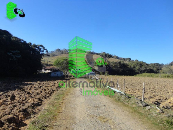 Imagem Fazenda à Venda, 31 m² em Pinhalzinho - Sto Antônio Do Pinhal - Santo Antônio Do Pinhal