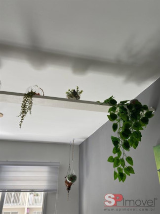 Imagem Apartamento com 1 Quarto à Venda, 29 m² em Ferreira - São Paulo Imagem Apartamento com 1 Quarto à Venda, 29 m² em Ferreira - São Paulo