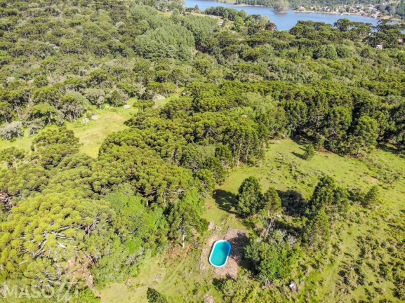 Imagem Chácara à Venda, 65.000 m² em Eletra - São Francisco De Paula Imagem Chácara à Venda, 65.000 m² em Eletra - São Francisco De Paula
