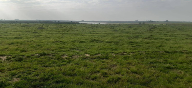Imagem Terreno à Venda, 16 m² em Itaqui Imagem Terreno à Venda, 16 m² em Itaqui