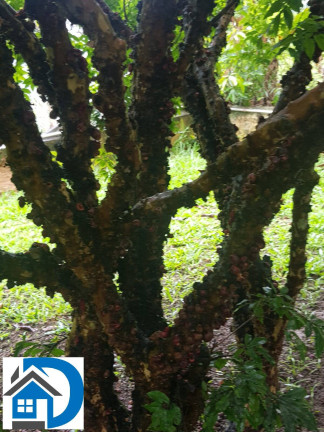 Imagem Chácara com 5 Quartos à Venda, 2.800 m² em Quintas De Pirapora - Salto De Pirapora Imagem Chácara com 5 Quartos à Venda, 2.800 m² em Quintas De Pirapora - Salto De Pirapora