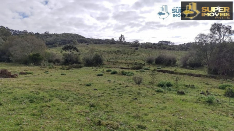 Imagem Imóvel com 2 Quartos à Venda, 580.000 m² em Centro - Canguçu